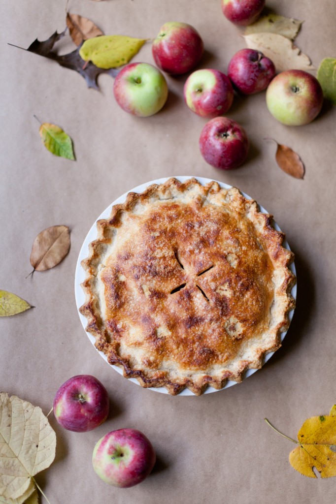 Fall on the&nbsp;Farm.