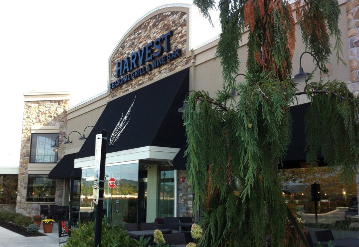 harvest-seasonal-grill-8378388cd406d7cf